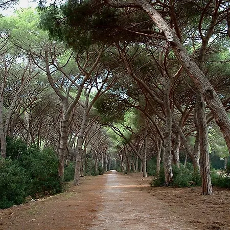 Casale Gli Ulivi Alloggio per agriturismo Orbetello