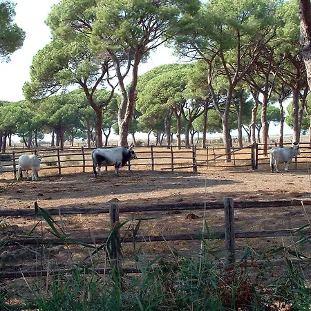 Casale Gli Ulivi Orbetello