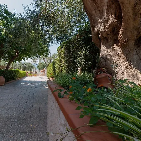 Alojamento de Turismo Rural Casale Gli Ulivi *